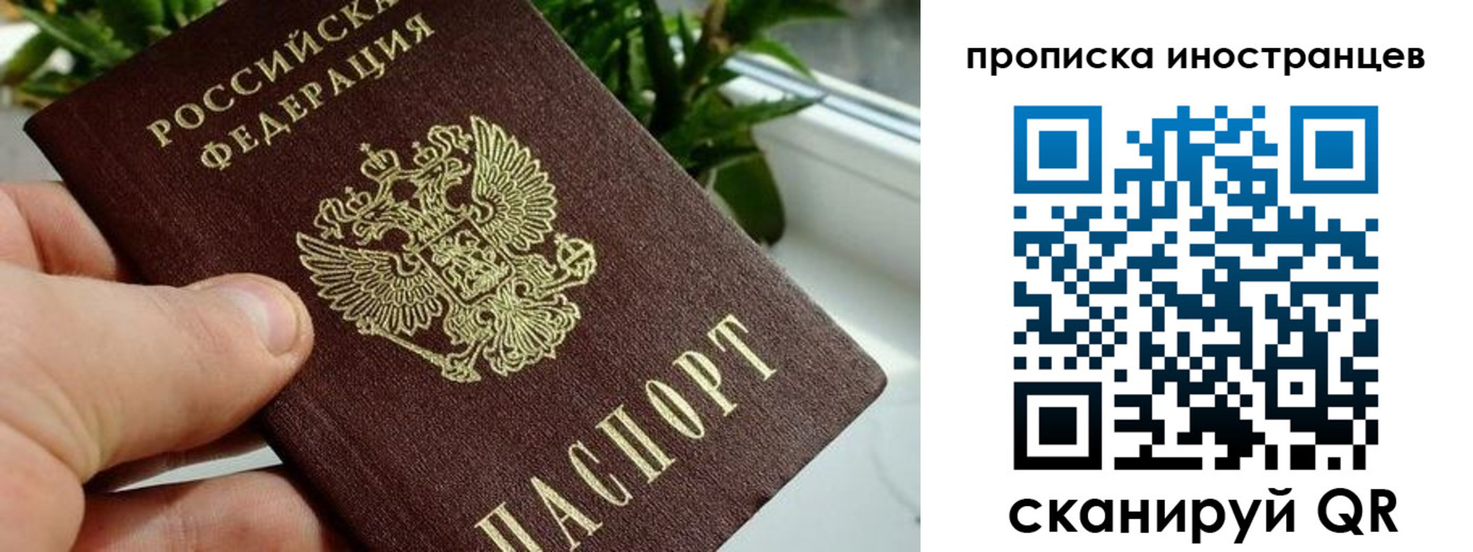 временная регистрация в Козельске